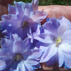 Meet your Posher, Cindy